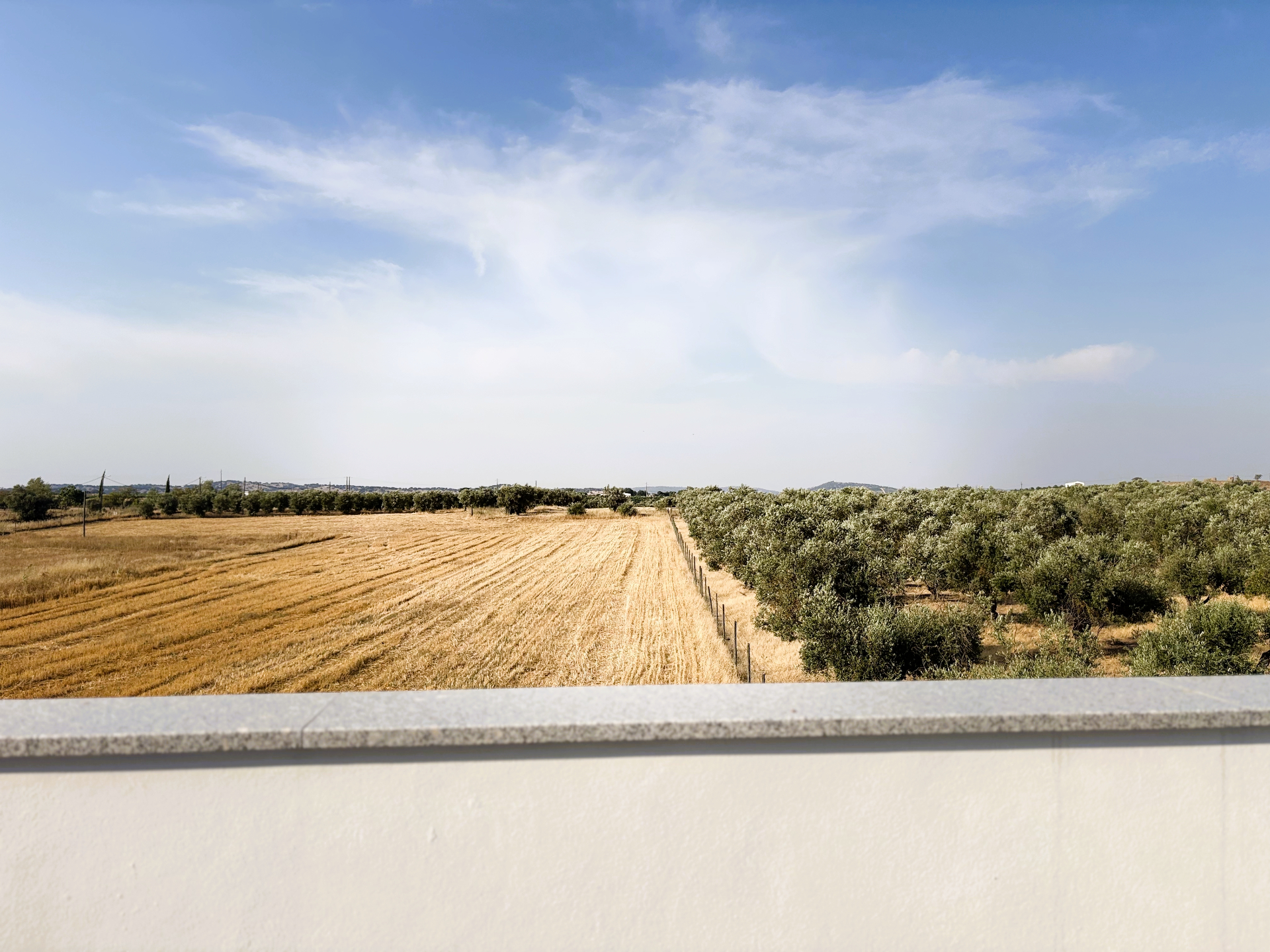 Vista para os olivais do Alentejo